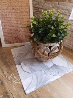Dečka Ginko 